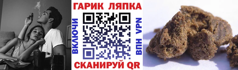 ГАШ хэш  Купить закладки  Алексин 