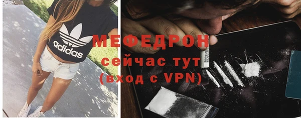 гидра Аркадак