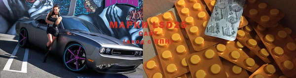 прущие грибы Армянск