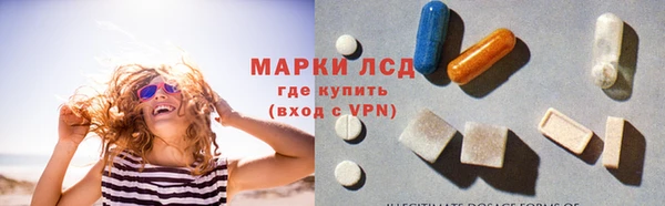 прущие грибы Армянск