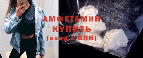 гидра Аркадак