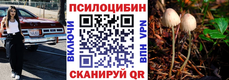 Псилоцибиновые грибы мицелий  Купить  Алексин 